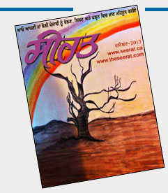 Online Punjabi Magazine Seerat