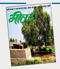 Online Punjabi Magazine Seerat